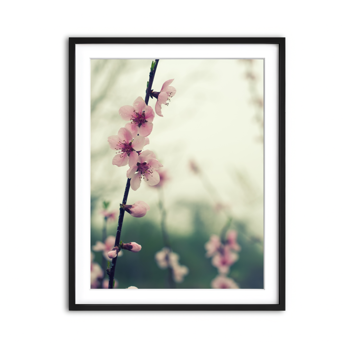 Framed Print 3x4 Black