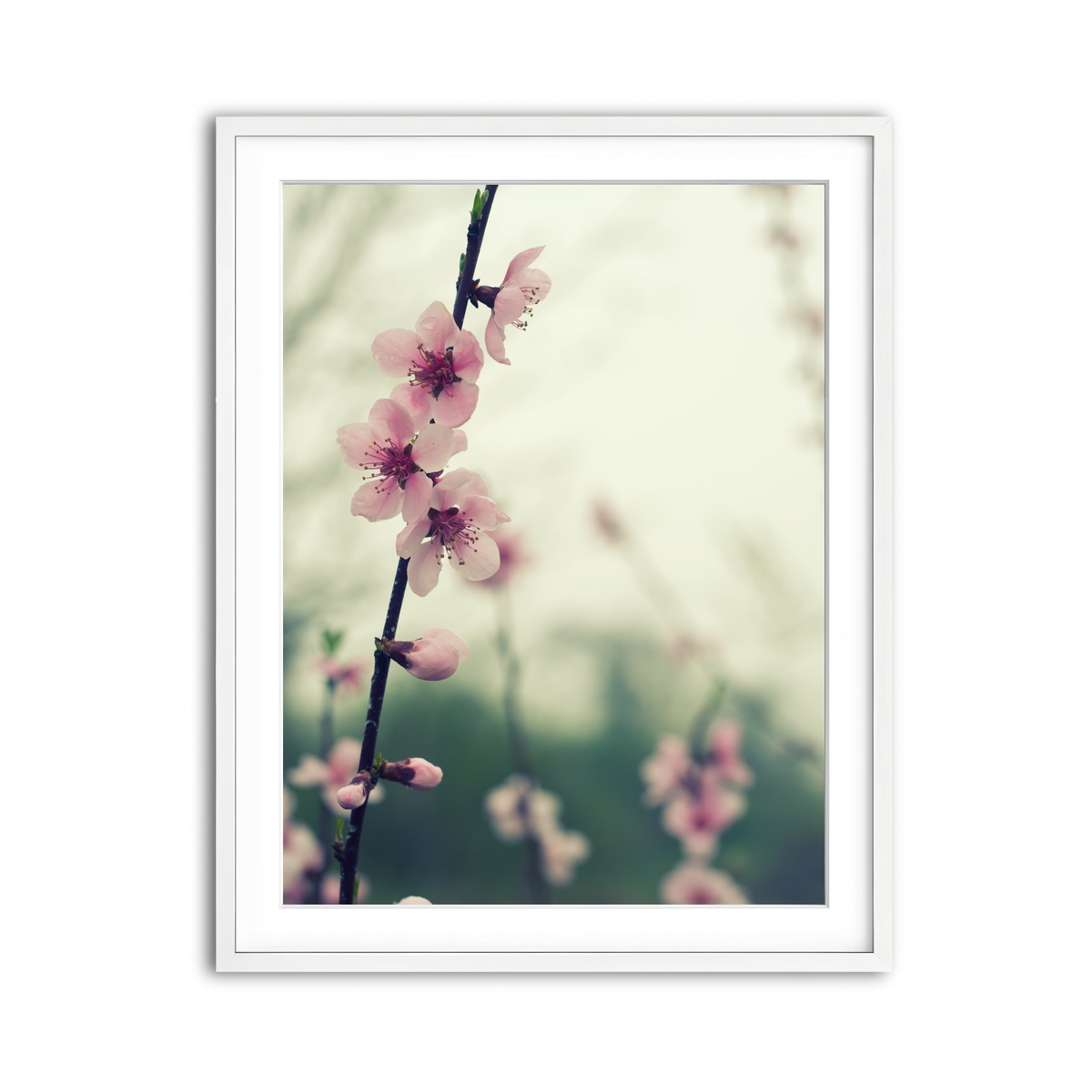 Framed Print 3x4 White