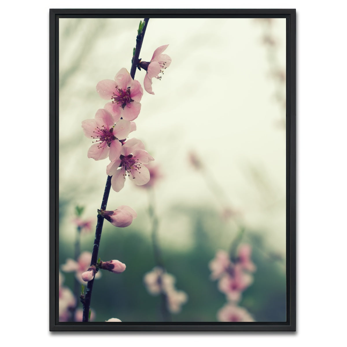 AUTO-MOCKUP WHITE | Spring blossom | 1 Piece | Black Framed Canvas | group=3x4