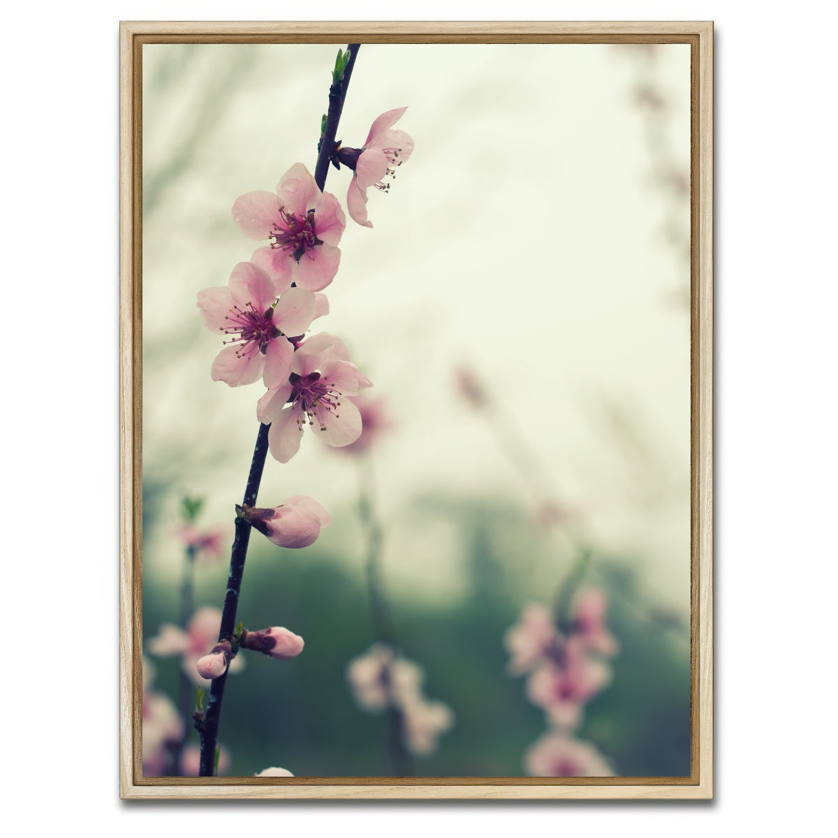 AUTO-MOCKUP WHITE | Spring blossom | 1 Piece | Natural Framed Canvas | group=3x4