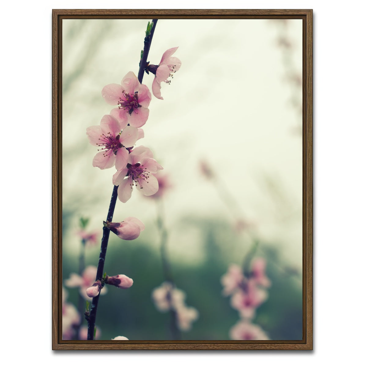 AUTO-MOCKUP WHITE | Spring blossom | 1 Piece | Walnut Framed Canvas | group=3x4