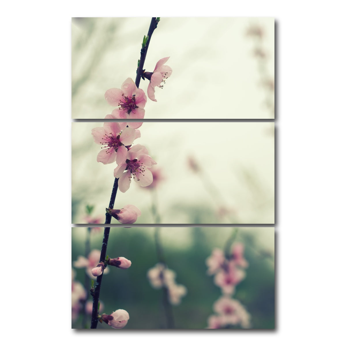 AUTO-MOCKUP WHITE | Spring blossom | 3 Piece | Gallery Wrap Canvas | group=12x24_stacked