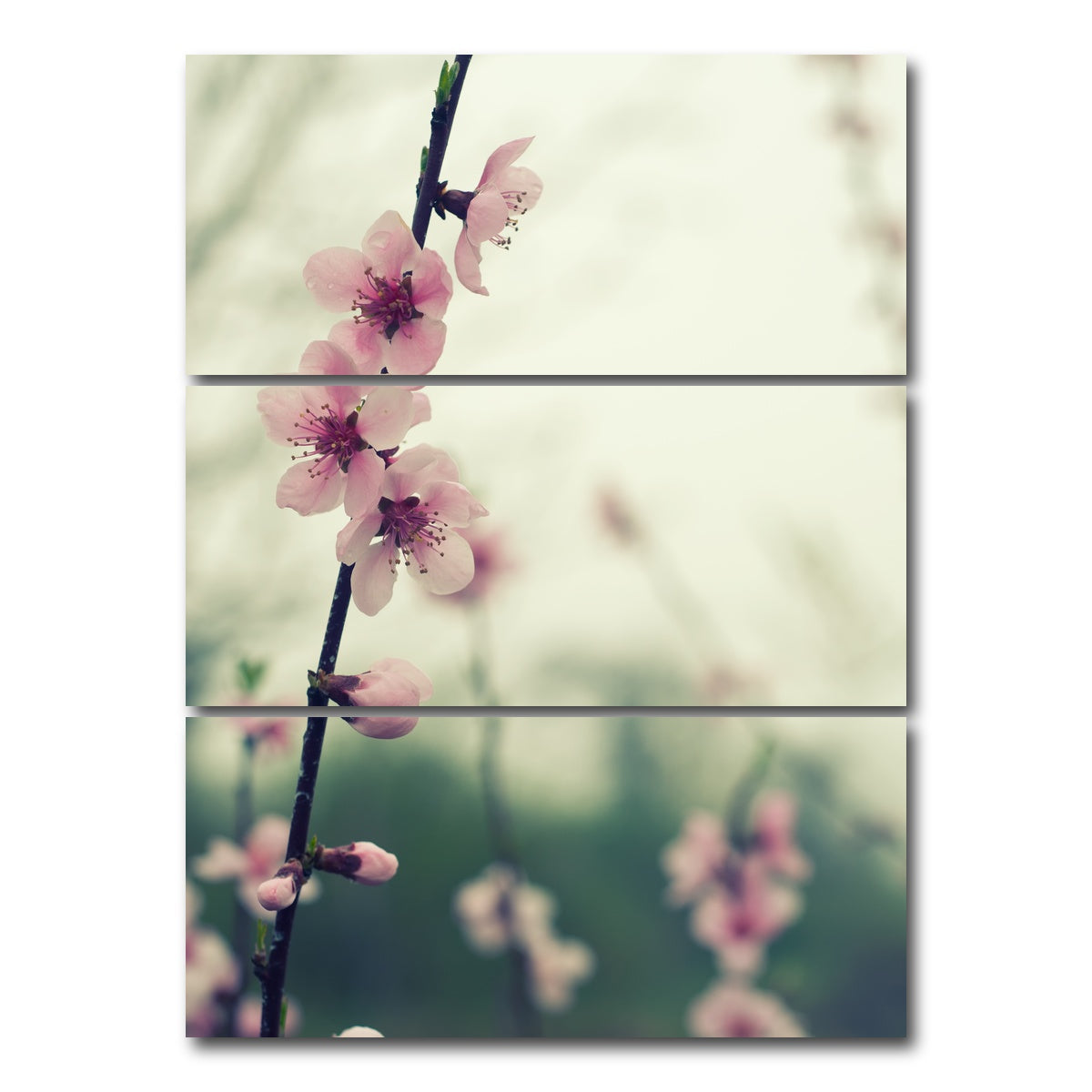 AUTO-MOCKUP WHITE | Spring blossom | 3 Piece | Gallery Wrap Canvas | group=8x18_stacked