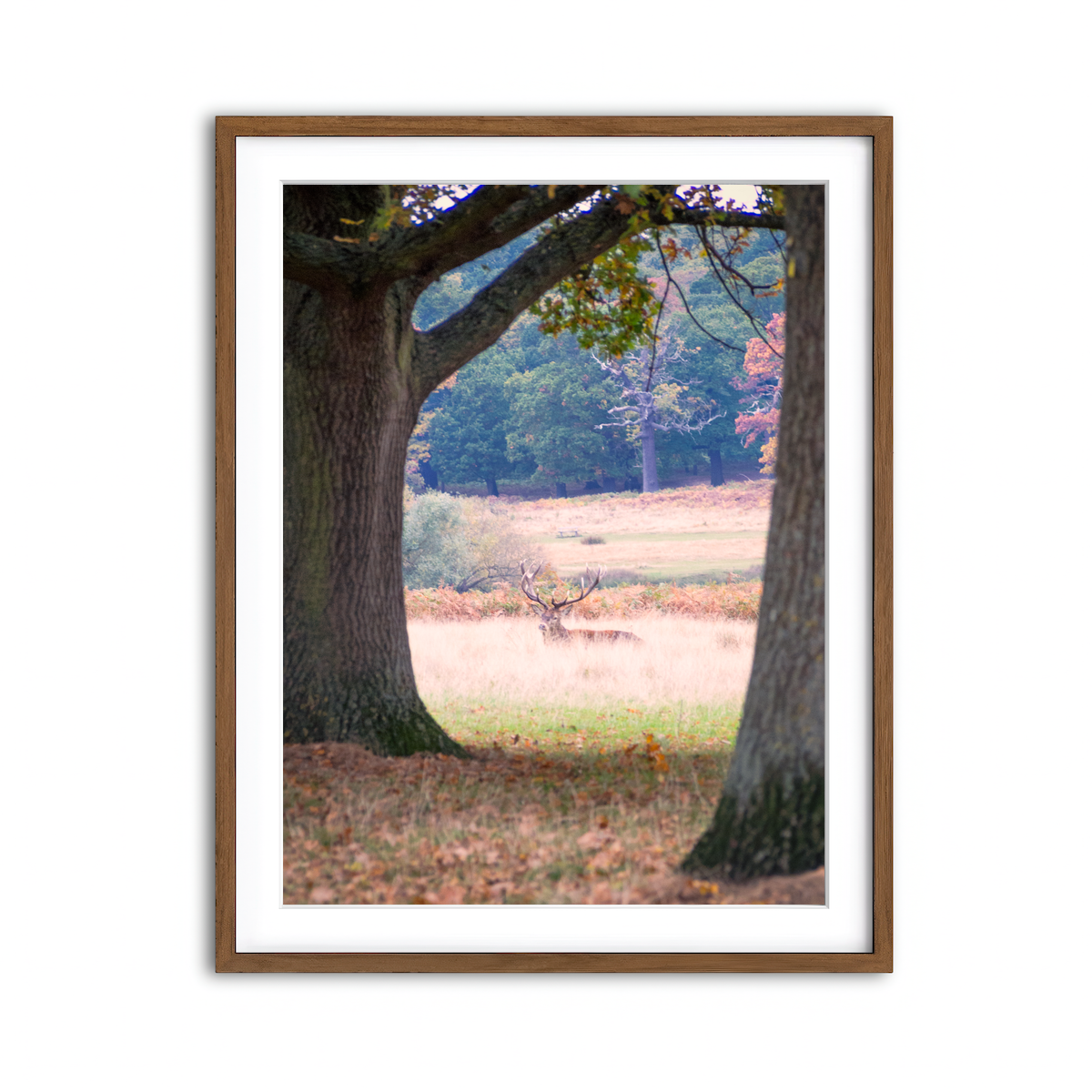 Framed Print 3x4 Walnut