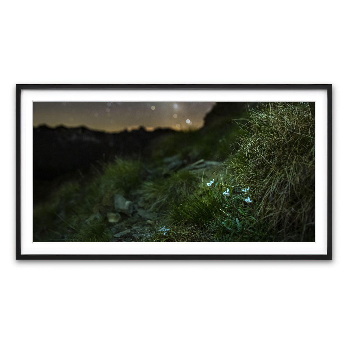 Framed Print 2x1 Black
