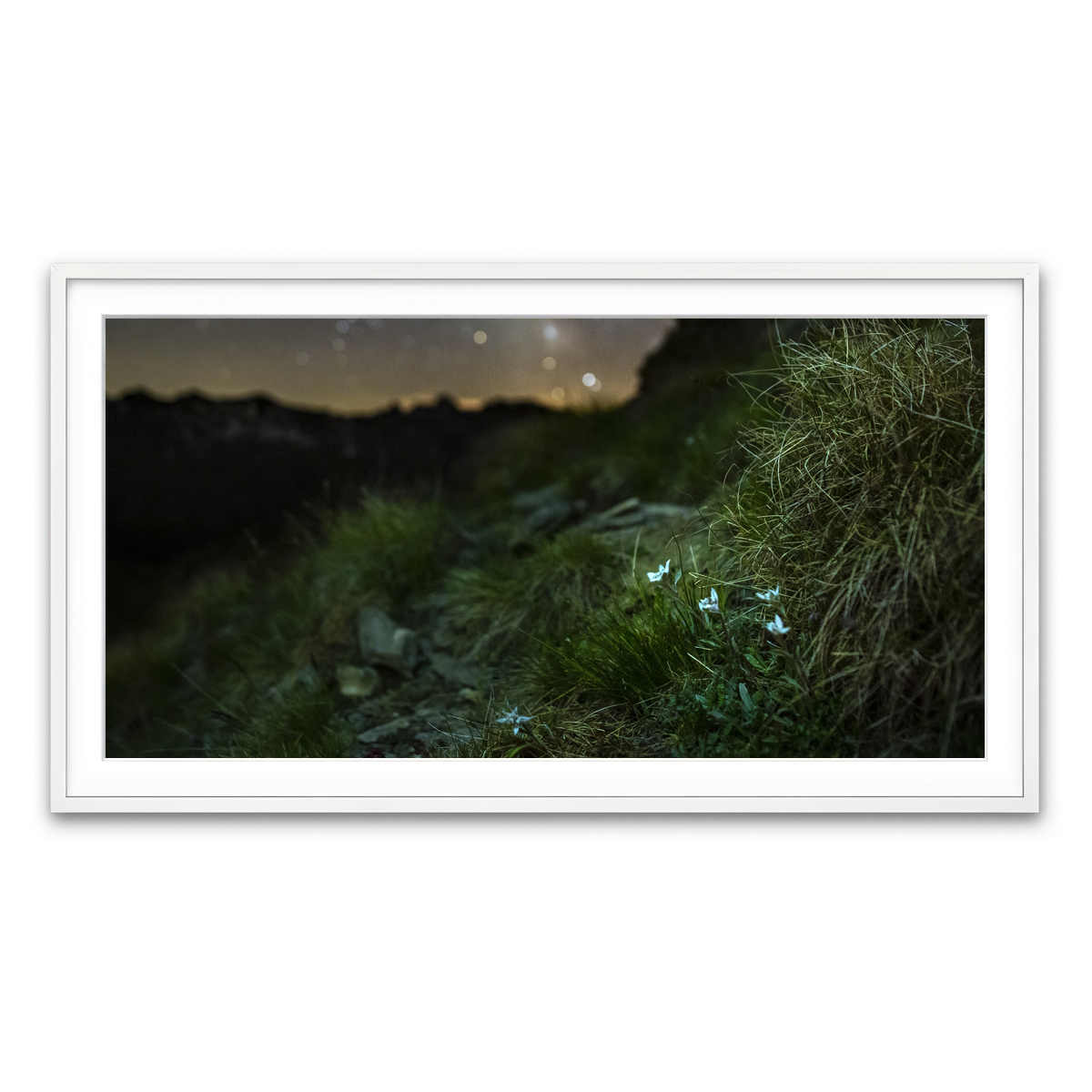 Framed Print 2x1 White