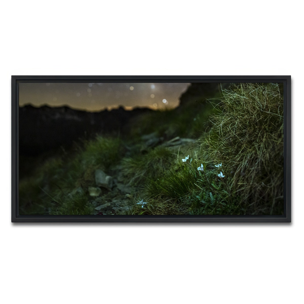 AUTO-MOCKUP WHITE | Star Studded Edelweiss | 1 Piece | Black Framed Canvas | group=2x1