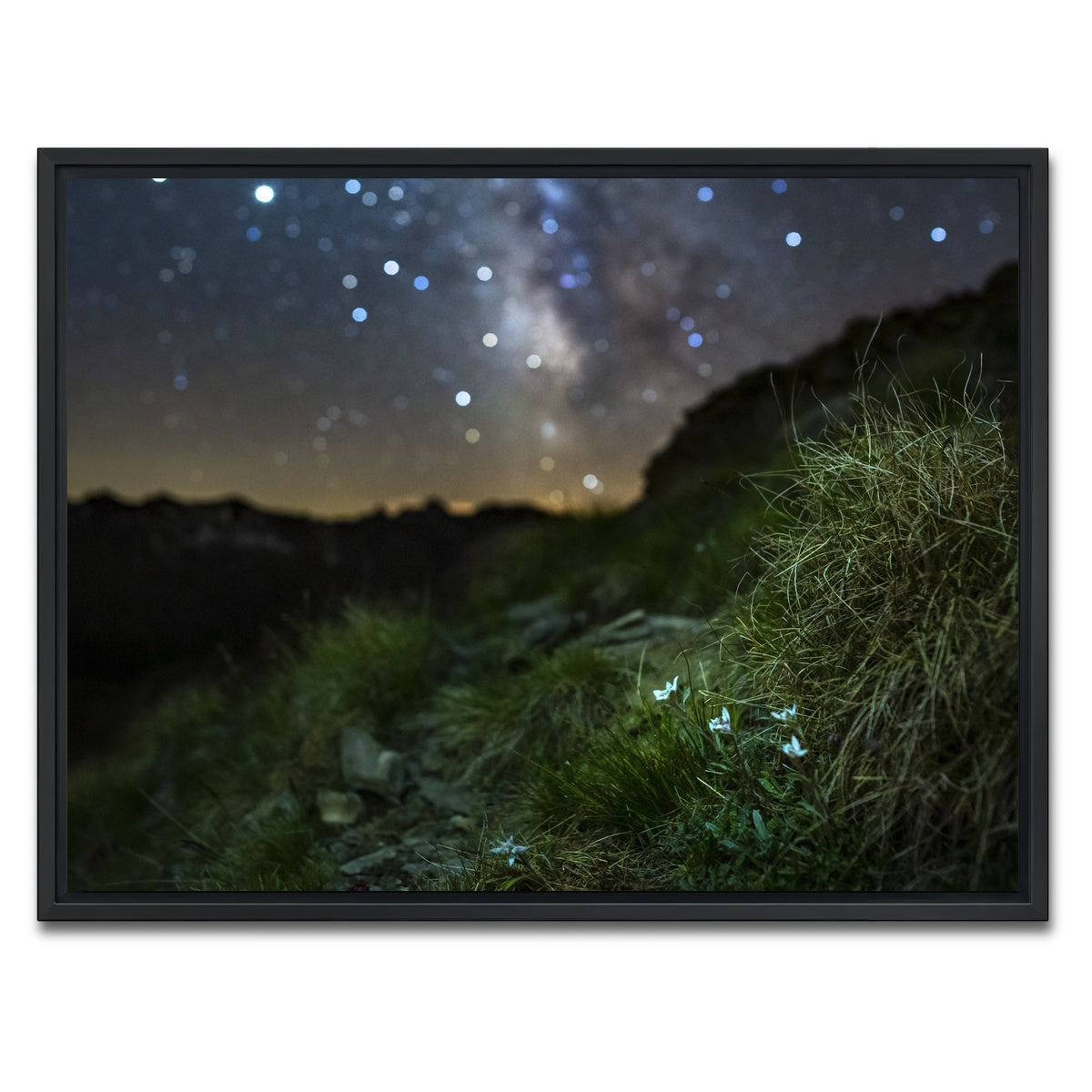 AUTO-MOCKUP WHITE | Star Studded Edelweiss | 1 Piece | Black Framed Canvas | group=4x3