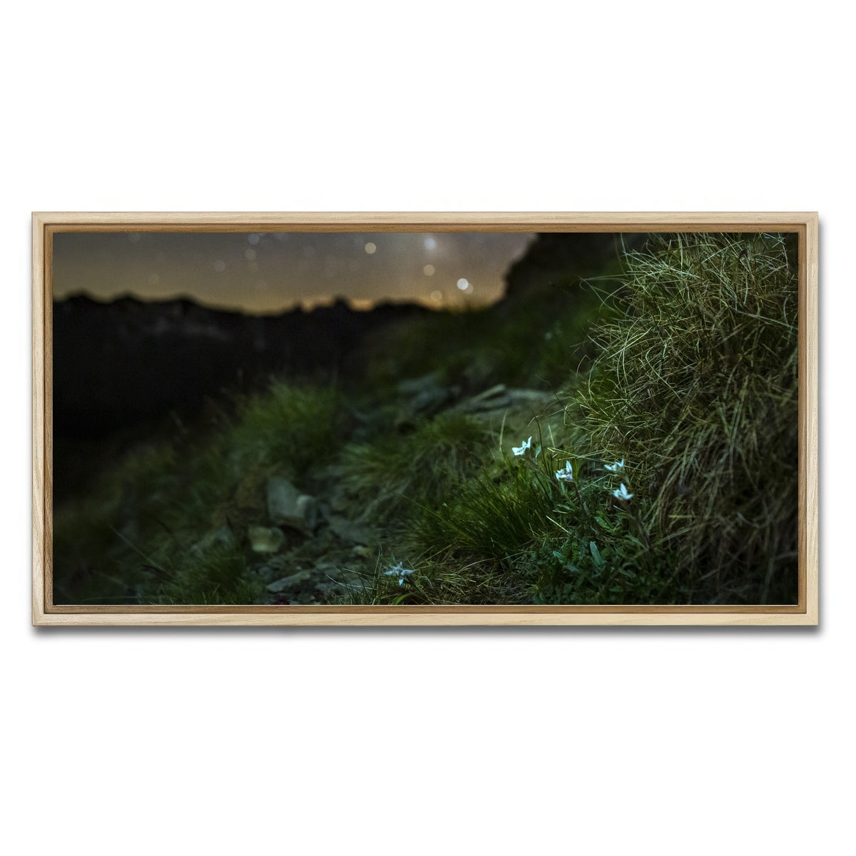 AUTO-MOCKUP WHITE | Star Studded Edelweiss | 1 Piece | Natural Framed Canvas | group=2x1