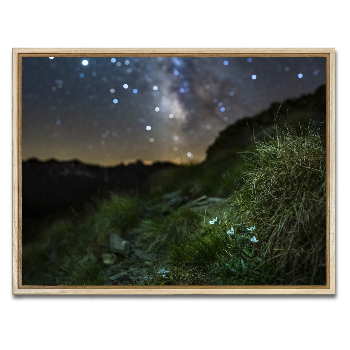 AUTO-MOCKUP WHITE | Star Studded Edelweiss | 1 Piece | Natural Framed Canvas | group=4x3
