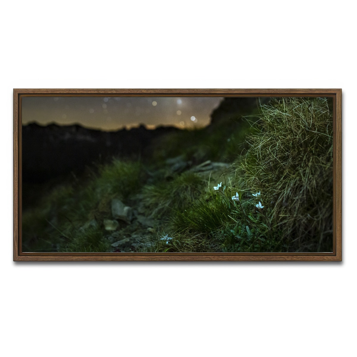 AUTO-MOCKUP WHITE | Star Studded Edelweiss | 1 Piece | Walnut Framed Canvas | group=2x1