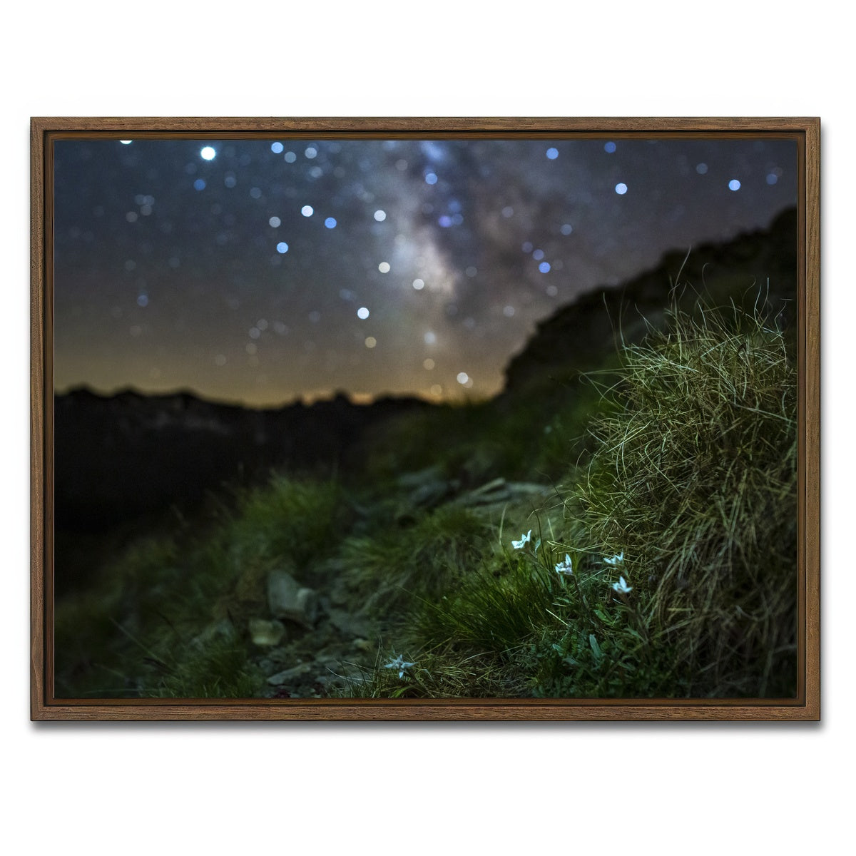 AUTO-MOCKUP WHITE | Star Studded Edelweiss | 1 Piece | Walnut Framed Canvas | group=4x3