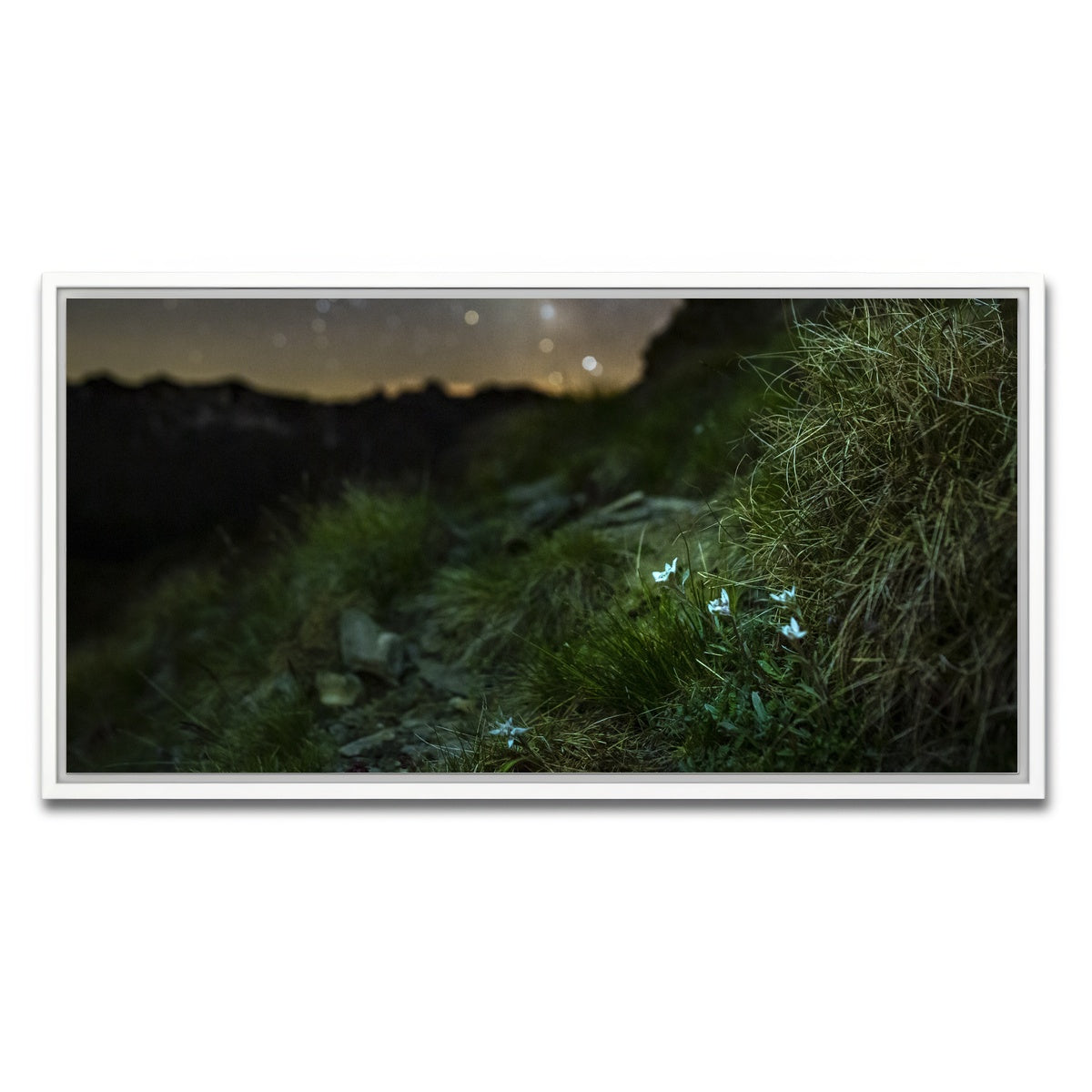 AUTO-MOCKUP WHITE | Star Studded Edelweiss | 1 Piece | White Framed Canvas | group=2x1