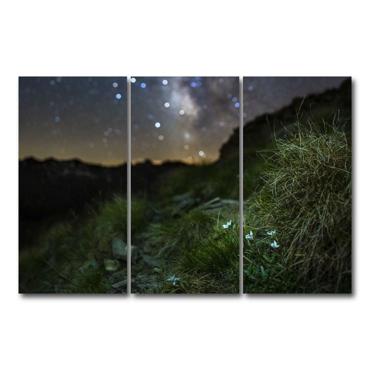 AUTO-MOCKUP WHITE | Star Studded Edelweiss | 3 Piece | Gallery Wrap Canvas | group=12x24