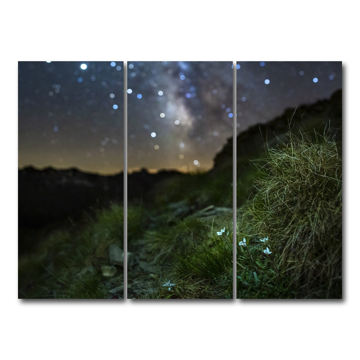 AUTO-MOCKUP WHITE | Star Studded Edelweiss | 3 Piece | Gallery Wrap Canvas | group=8x18