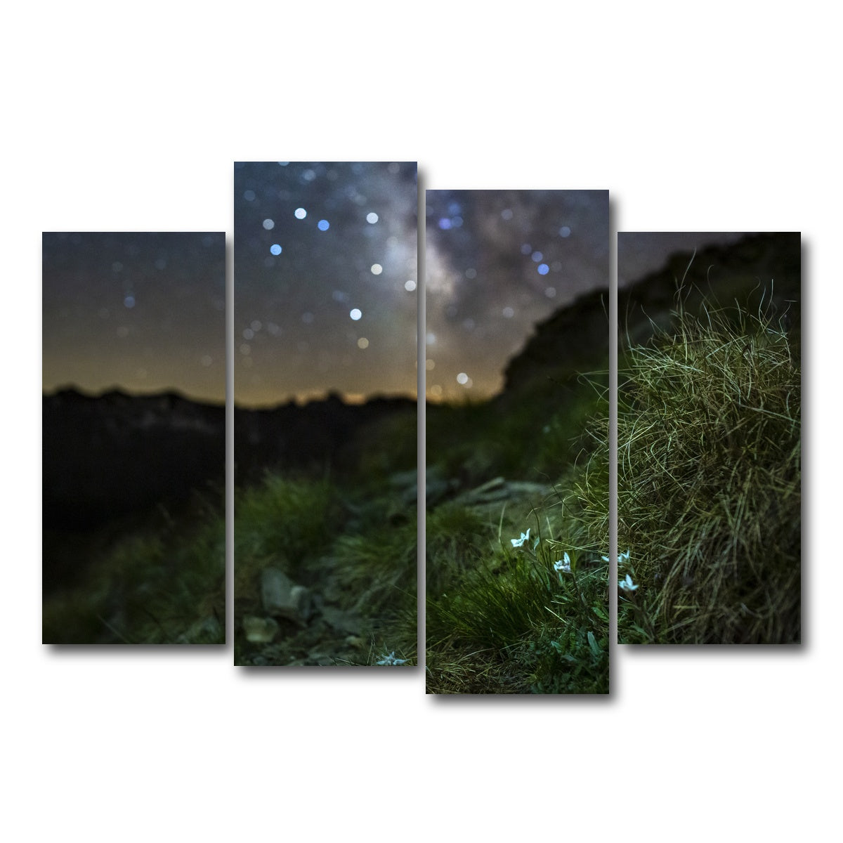 AUTO-MOCKUP WHITE | Star Studded Edelweiss | 4 Piece | Gallery Wrap Canvas | group=4_normal