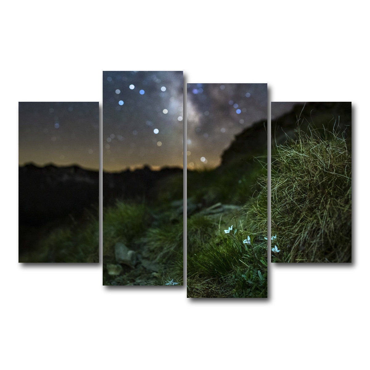 AUTO-MOCKUP WHITE | Star Studded Edelweiss | 4 Piece | Gallery Wrap Canvas | group=4_short