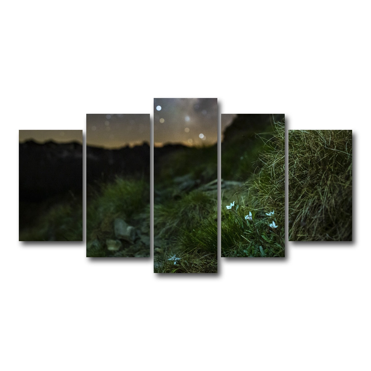 AUTO-MOCKUP WHITE | Star Studded Edelweiss | 5 Piece | Gallery Wrap Canvas | group=5_normal
