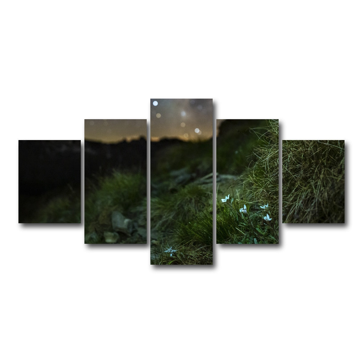 AUTO-MOCKUP WHITE | Star Studded Edelweiss | 5 Piece | Gallery Wrap Canvas | group=5_short