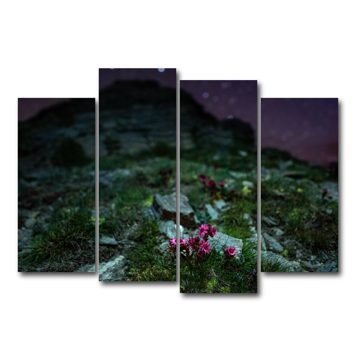 AUTO-MOCKUP WHITE | Star Studded Joubarbe | 4 Piece | Gallery Wrap Canvas | group=4_normal