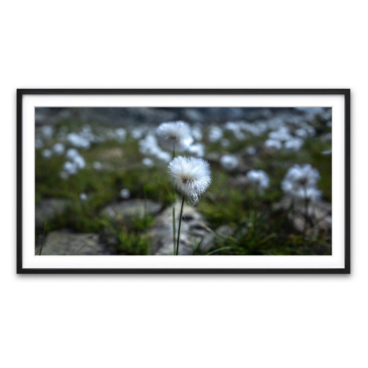 Framed Print 2x1 Black