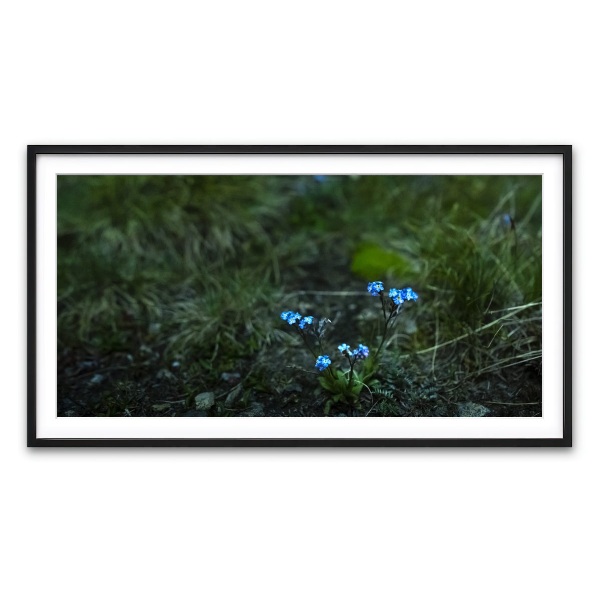 Framed Print 2x1 Black