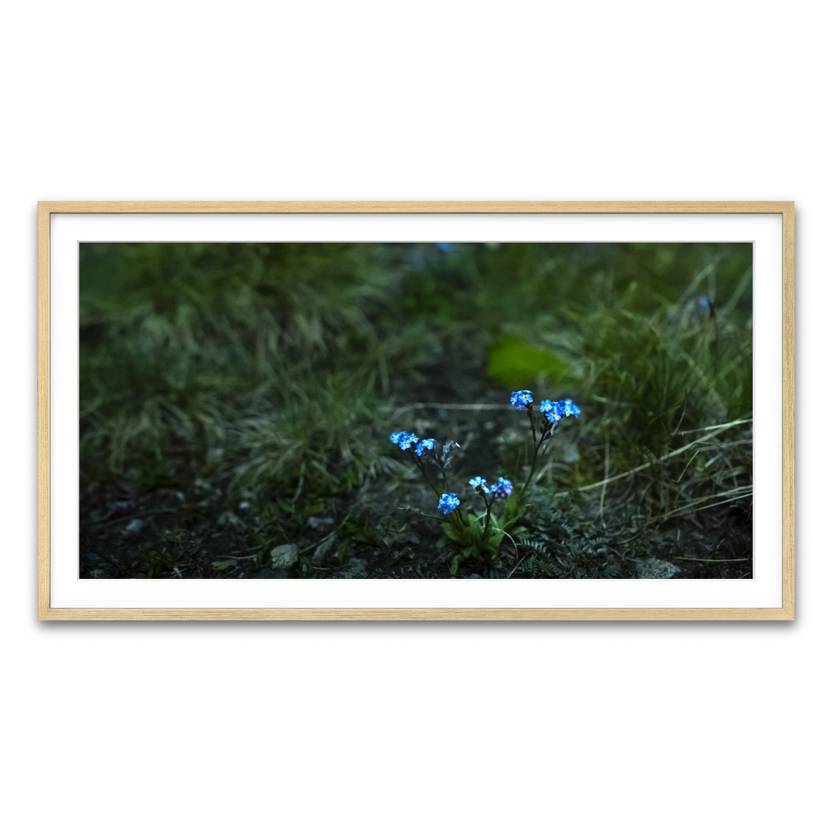 Framed Print 2x1 Natural