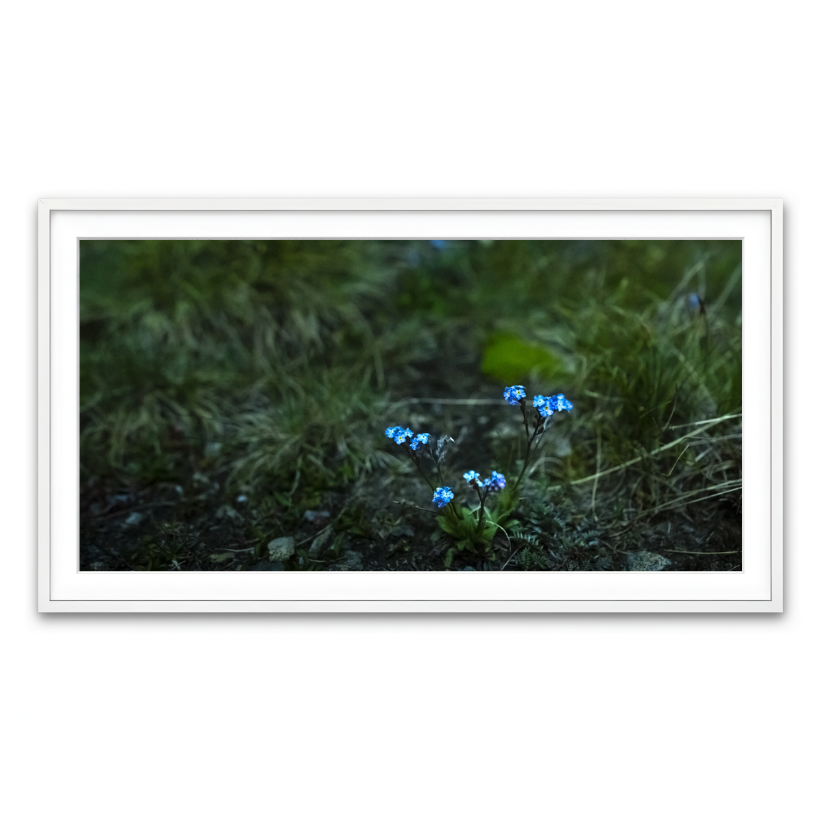 Framed Print 2x1 White
