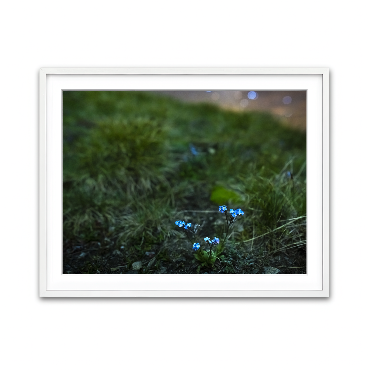 Framed Print 4x3 White