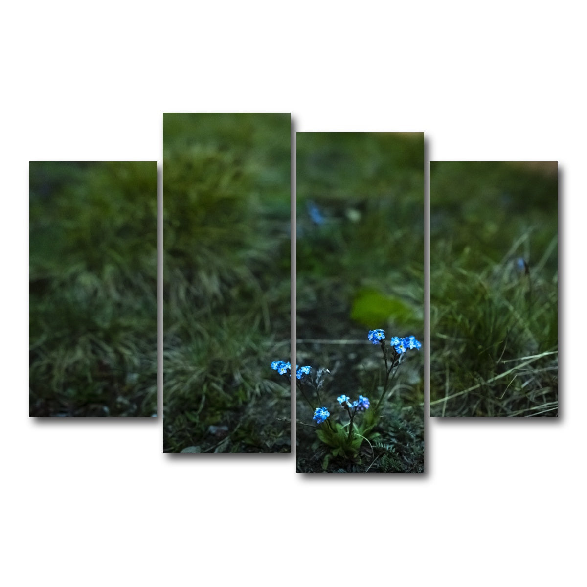 AUTO-MOCKUP WHITE | Star Studded Myosotis | 4 Piece | Gallery Wrap Canvas | group=4_short