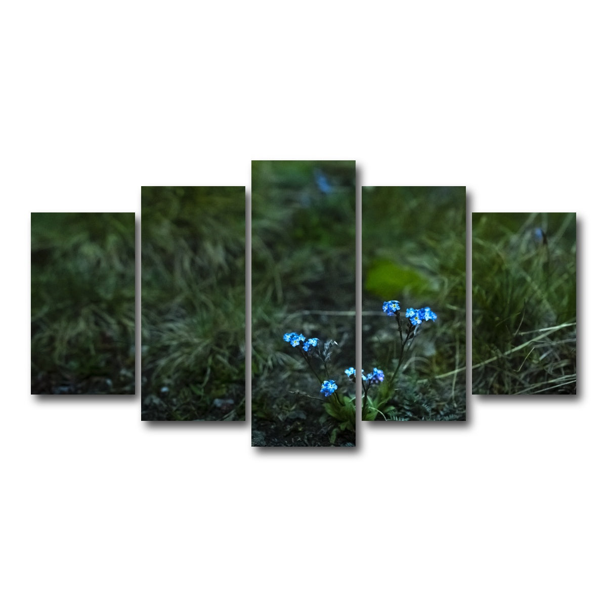 AUTO-MOCKUP WHITE | Star Studded Myosotis | 5 Piece | Gallery Wrap Canvas | group=5_normal