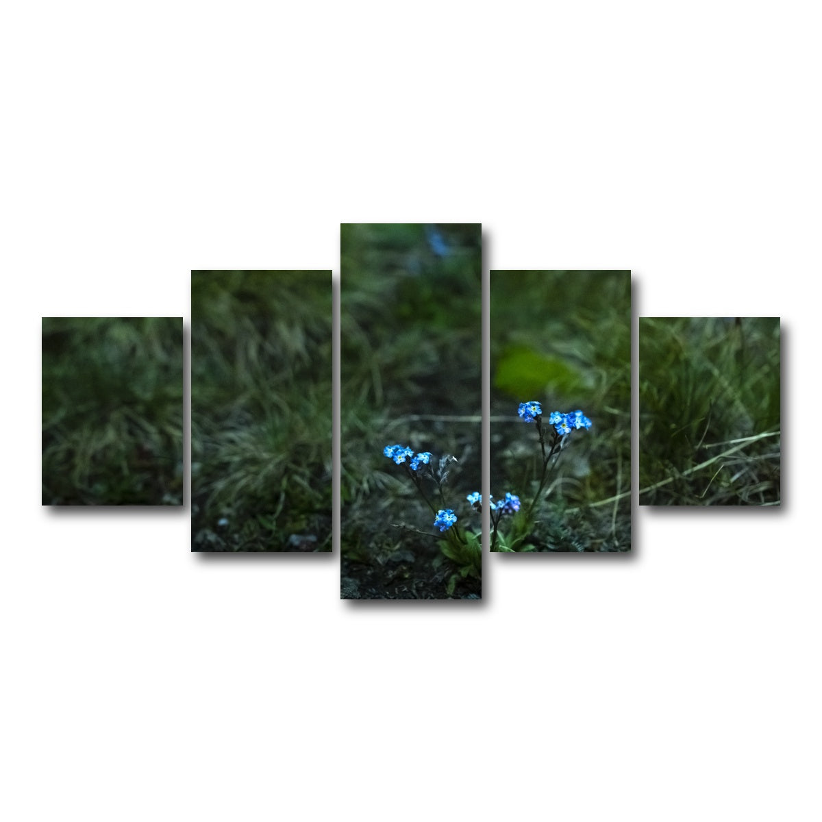 AUTO-MOCKUP WHITE | Star Studded Myosotis | 5 Piece | Gallery Wrap Canvas | group=5_short