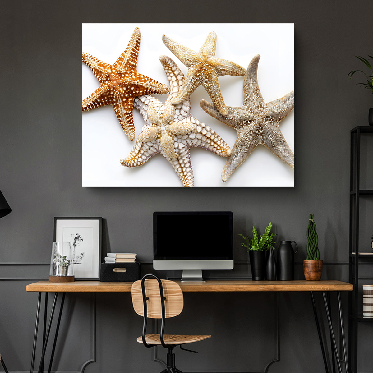 Starfishes Wall Art