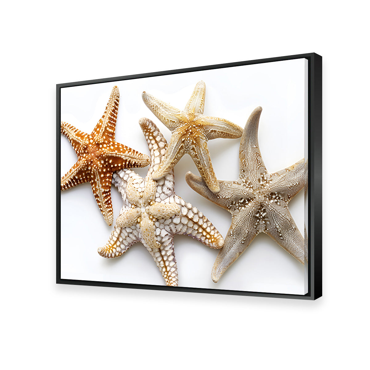 Starfishes Wall Art