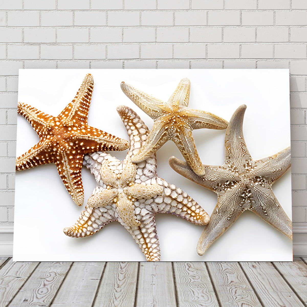 Starfishes Wall Art