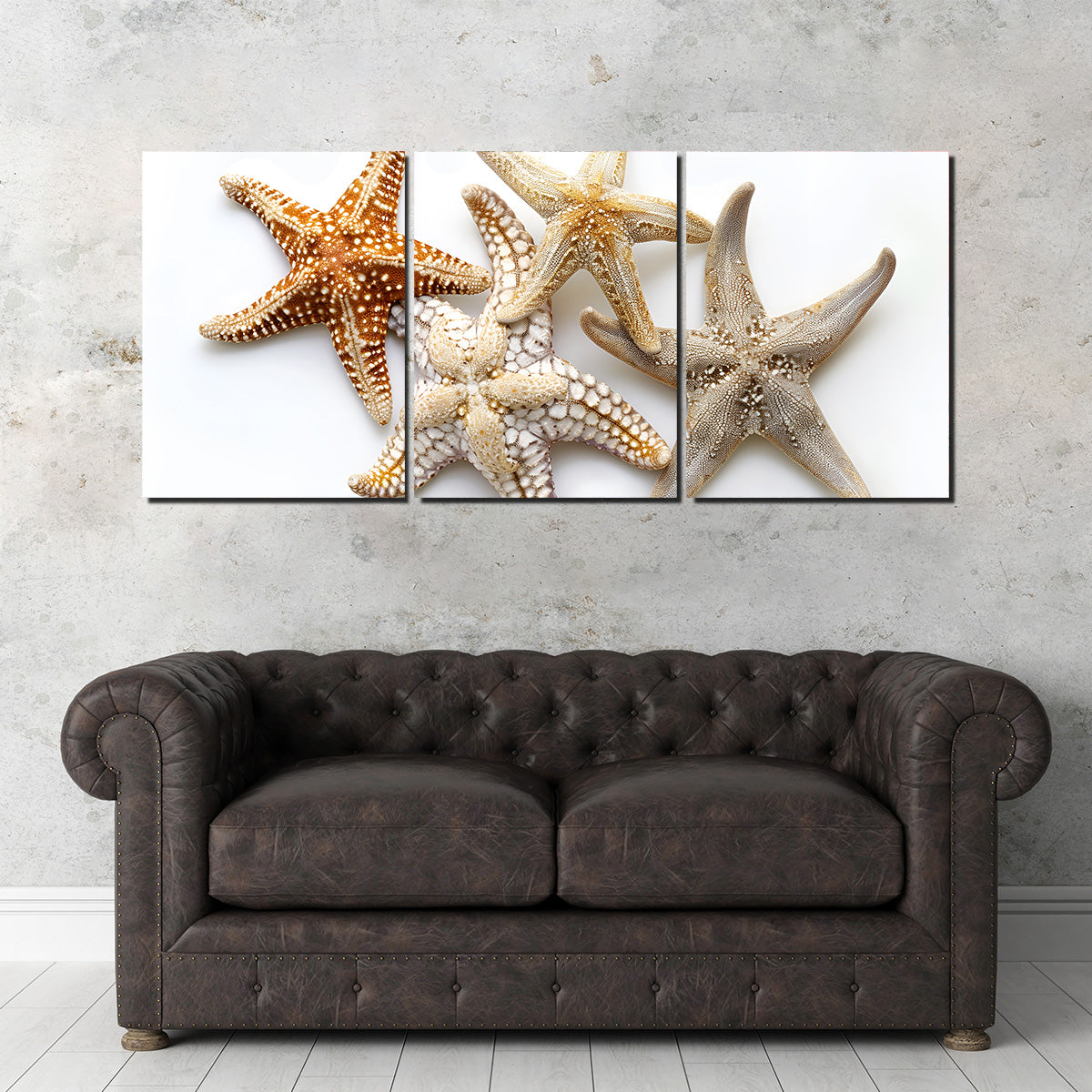 Starfishes Wall Art