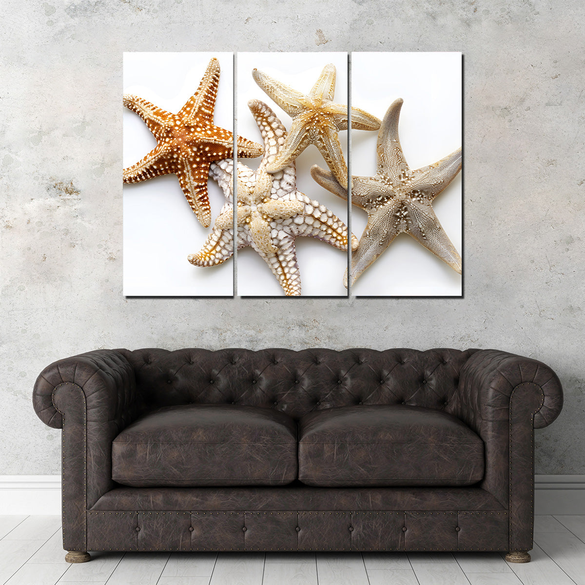 Starfishes Wall Art