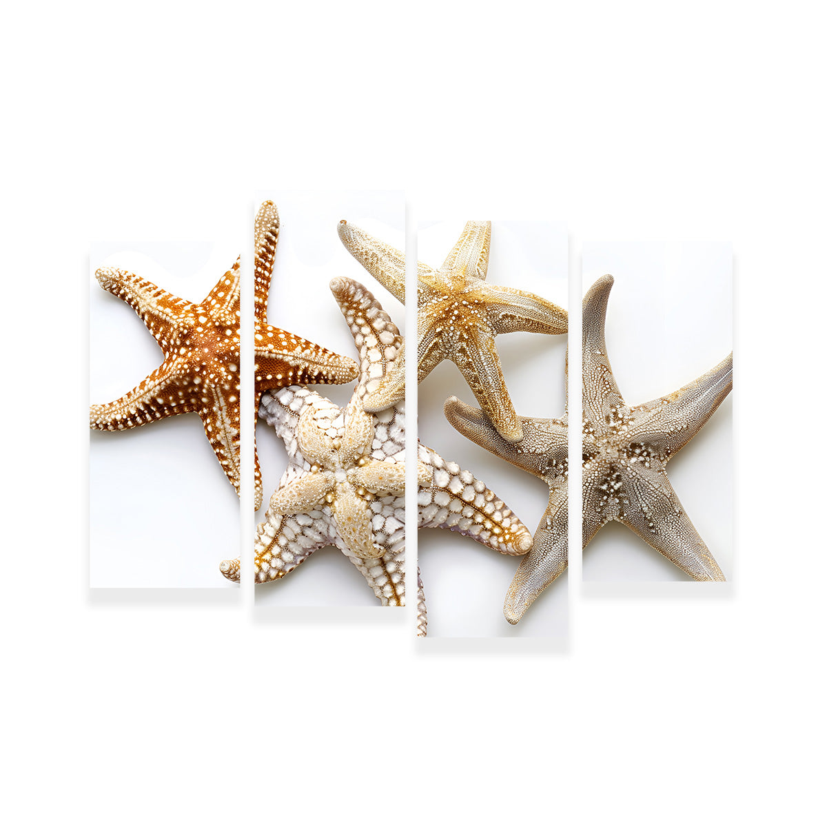 Starfishes Wall Art