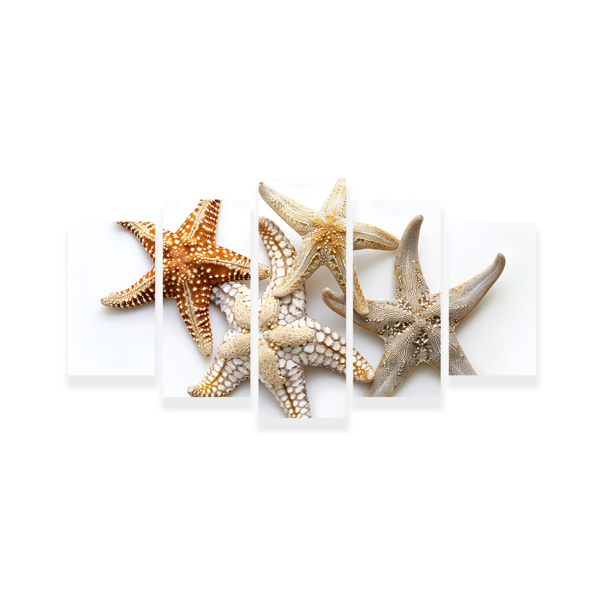Starfishes Wall Art
