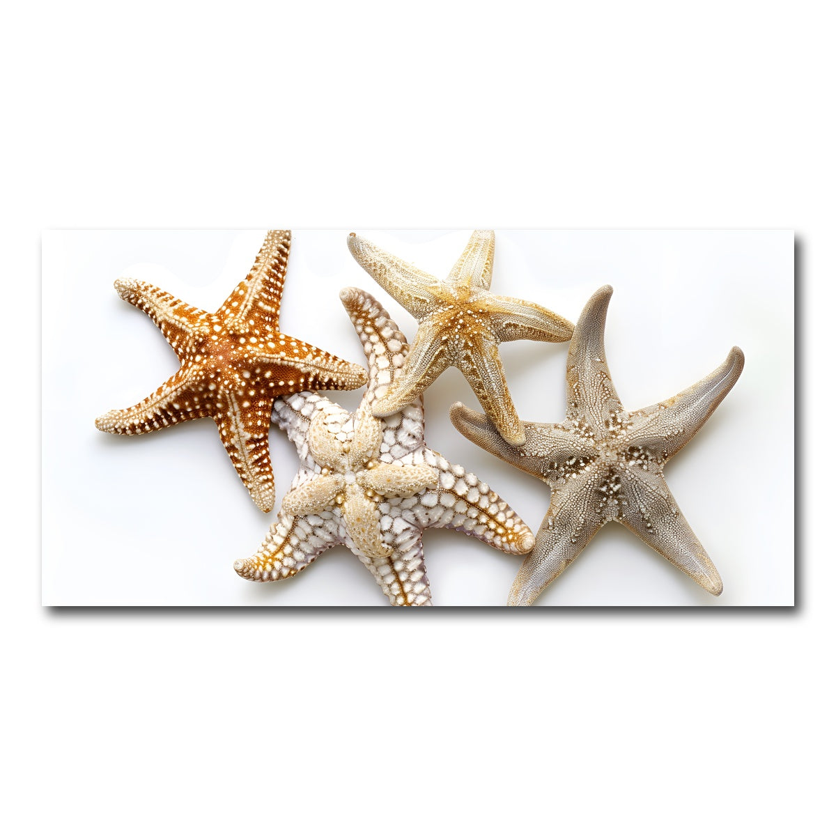 AUTO-MOCKUP WHITE | Starfishes | 1 Piece | Gallery Wrap Canvas | group=2x1
