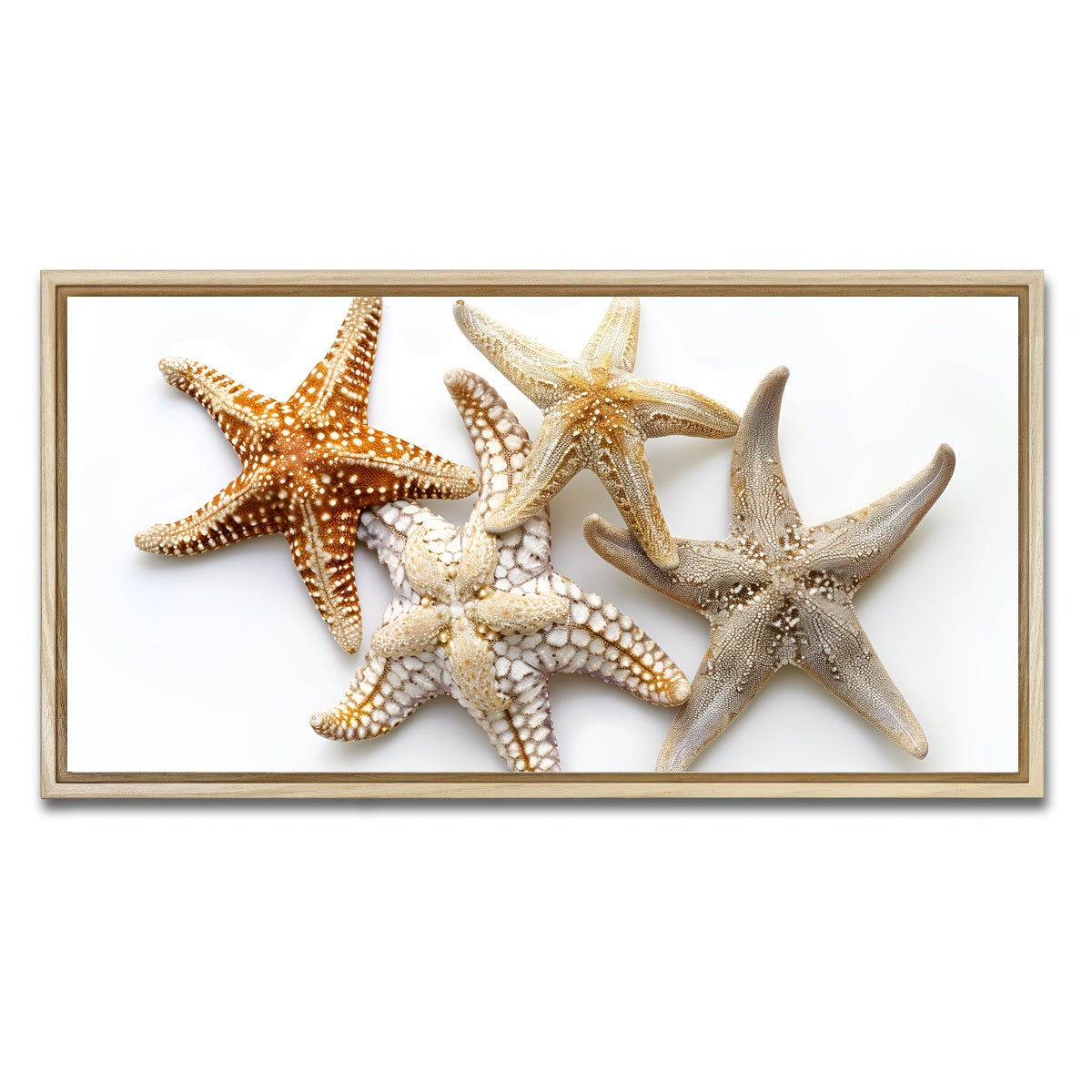 AUTO-MOCKUP WHITE | Starfishes | 1 Piece | Natural Framed Canvas | group=2x1