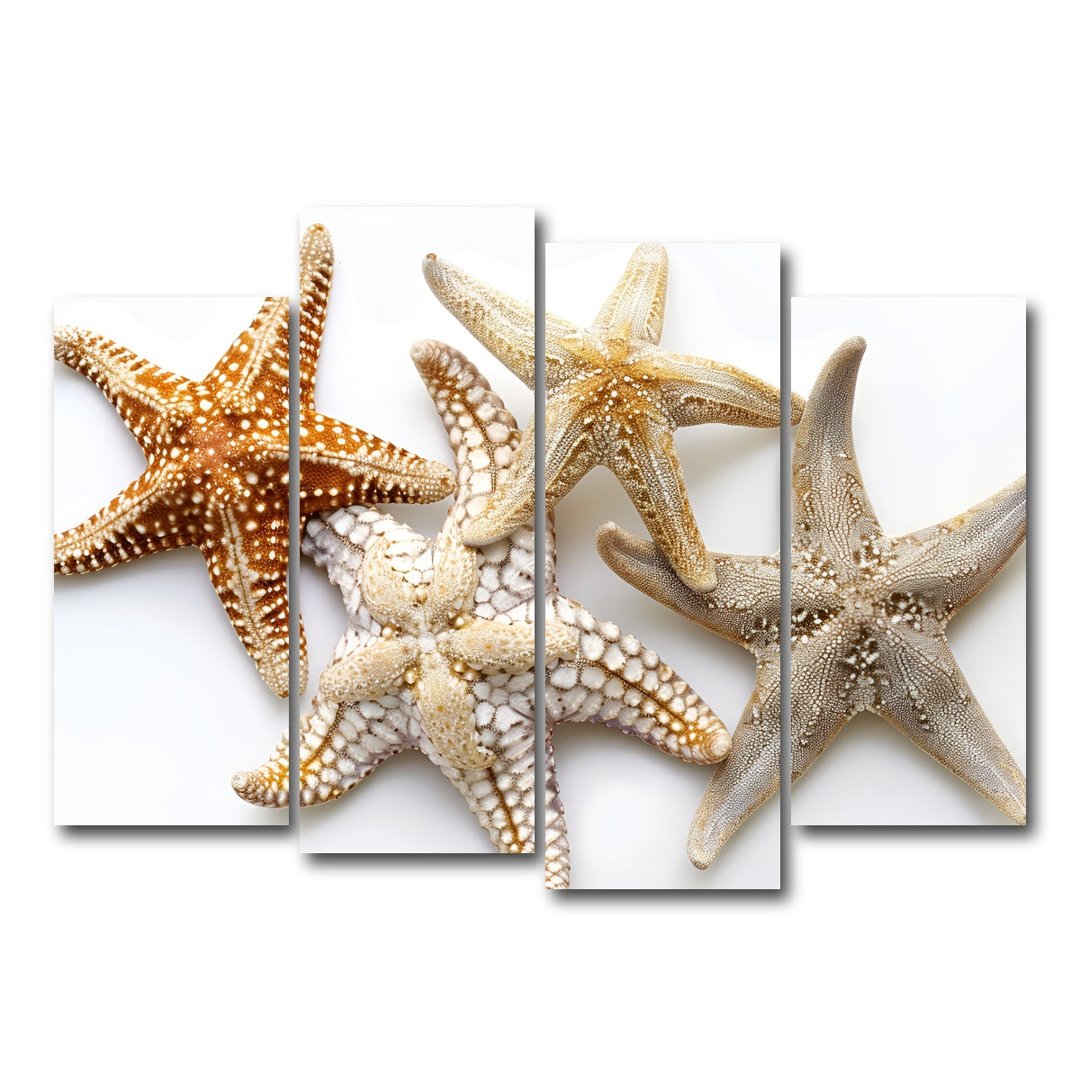 AUTO-MOCKUP WHITE | Starfishes | 4 Piece | Gallery Wrap Canvas | group=4_normal