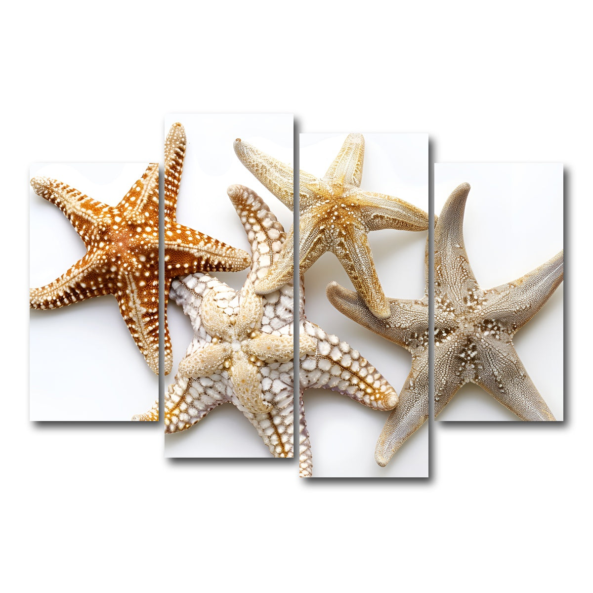 AUTO-MOCKUP WHITE | Starfishes | 4 Piece | Gallery Wrap Canvas | group=4_short