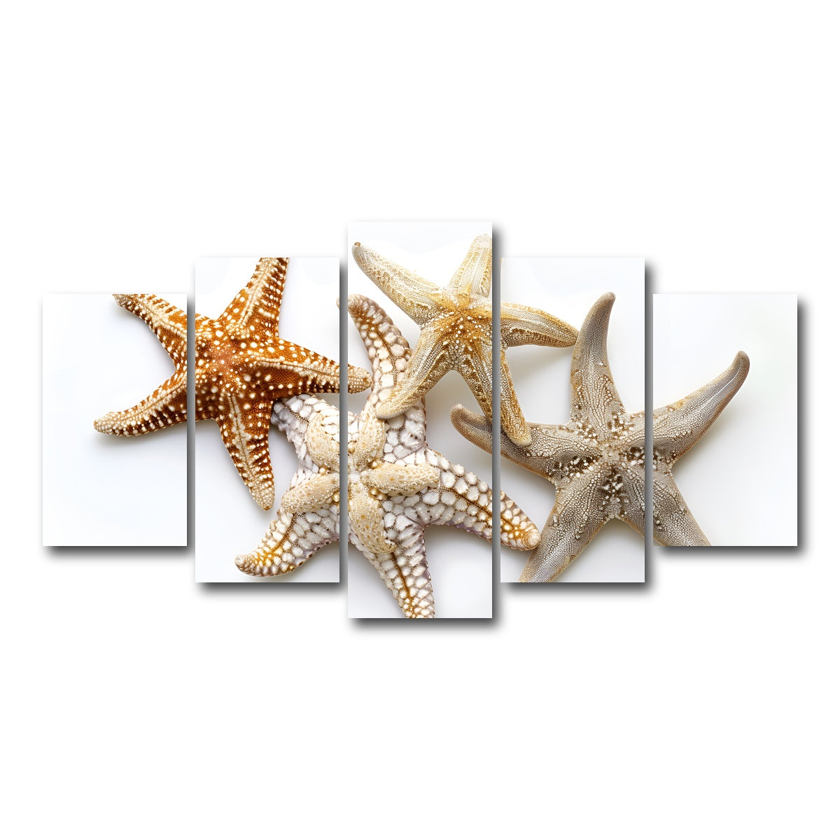 AUTO-MOCKUP WHITE | Starfishes | 5 Piece | Gallery Wrap Canvas | group=5_normal