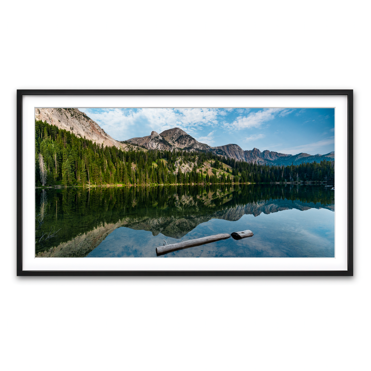Framed Print 2x1 Black