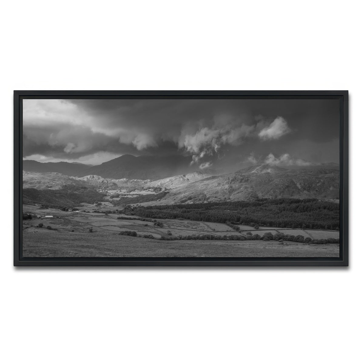 AUTO-MOCKUP WHITE | Stormy Fields | 1 Piece | Black Framed Canvas | group=2x1