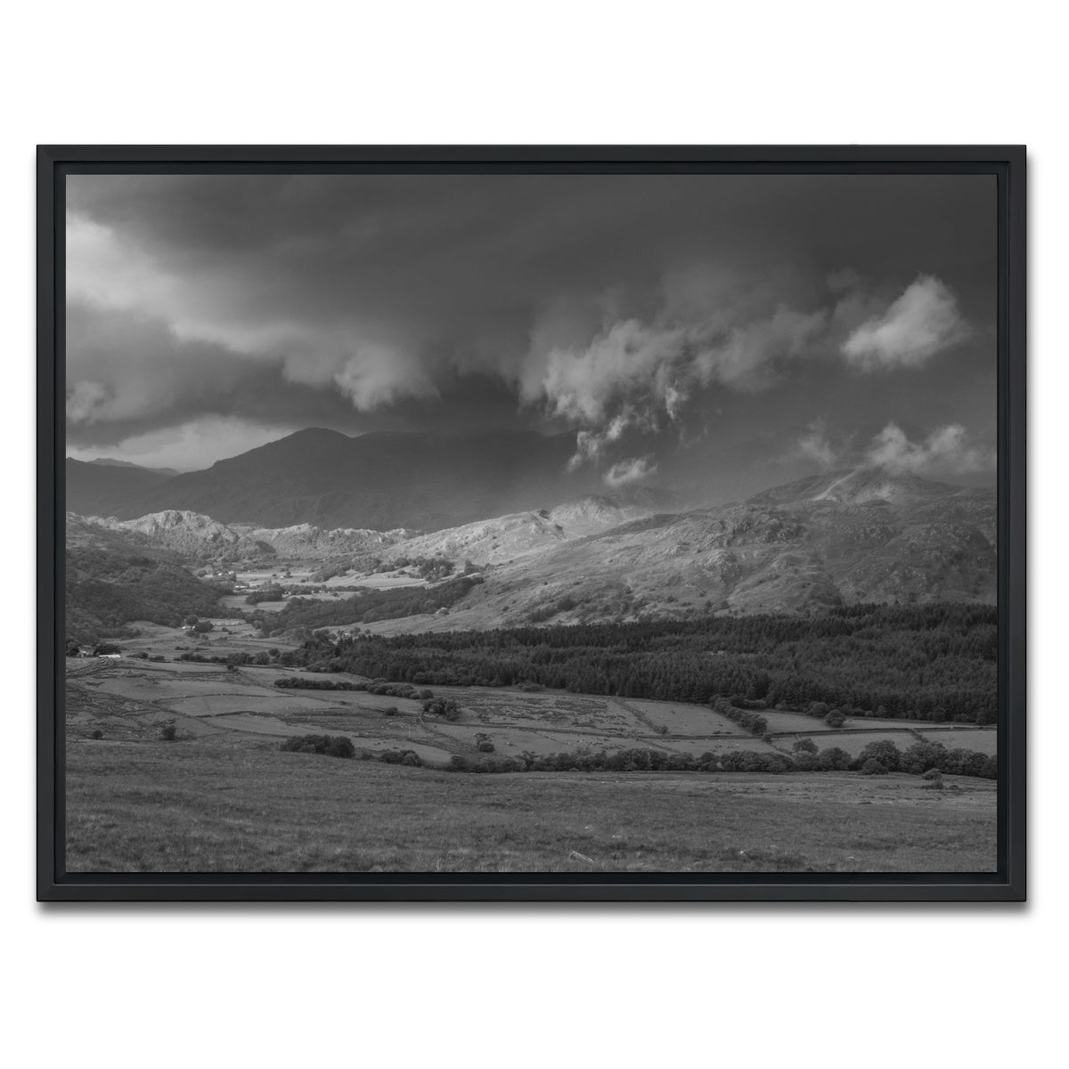 AUTO-MOCKUP WHITE | Stormy Fields | 1 Piece | Black Framed Canvas | group=4x3