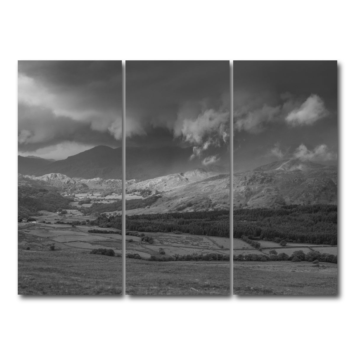 AUTO-MOCKUP WHITE | Stormy Fields | 3 Piece | Gallery Wrap Canvas | group=8x18
