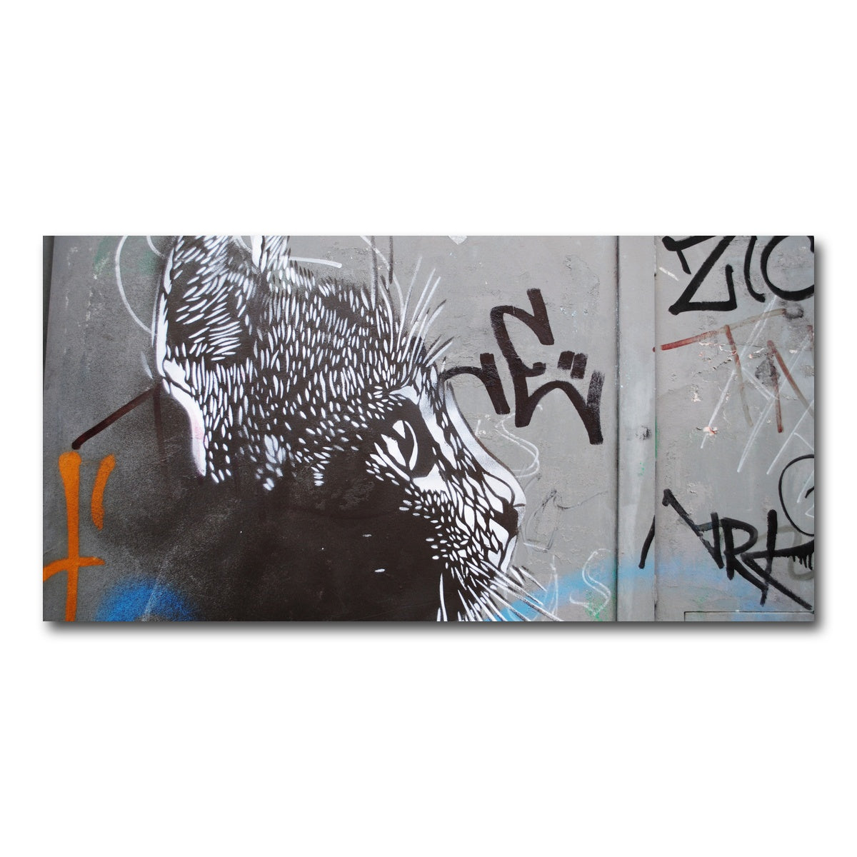 AUTO-MOCKUP WHITE | Street art cat | 1 Piece | Gallery Wrap Canvas | group=2x1