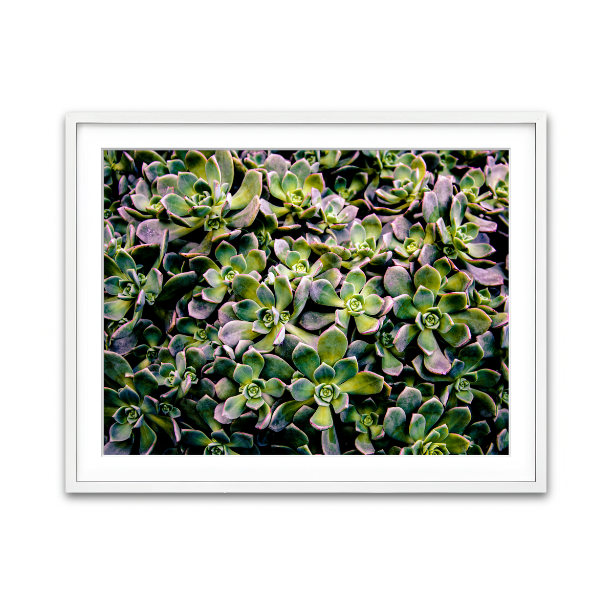 Framed Print 4x3 White